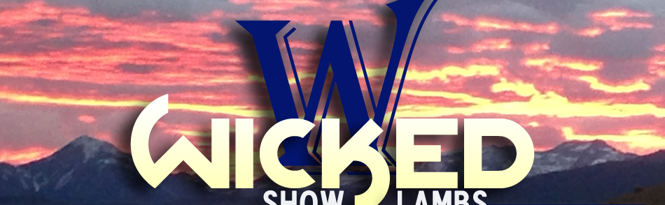 Wicked Show Lambs