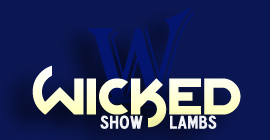 Wicked Show Lambs