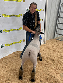 Wicked Show Lambs Winners
